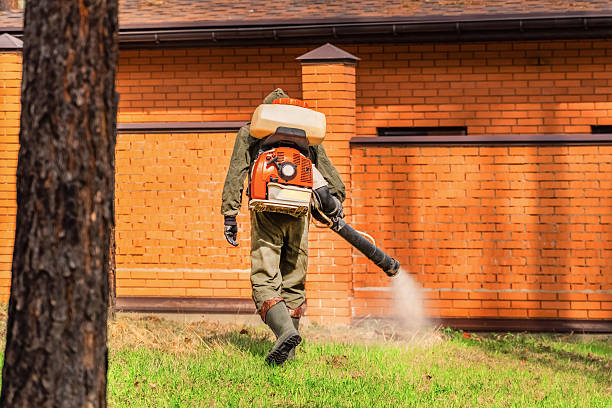 Bed Bug Clearance Verification and Documentation in Independence